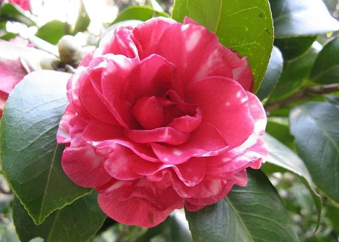 Appartamento Il Riflesso Verbania